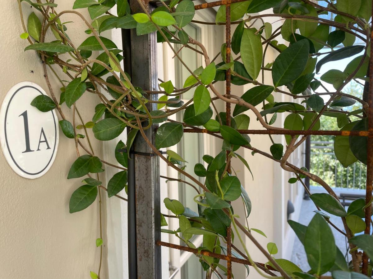 Villa Pattono Relais Costigliole d'Asti Εξωτερικό φωτογραφία